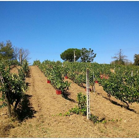 Agriturismo San Giusto Montiano  Eksteriør billede