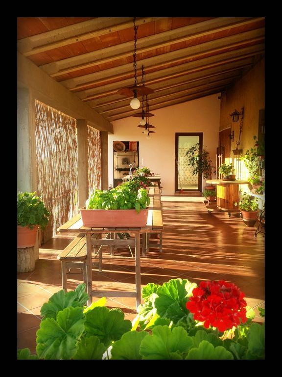 Agriturismo San Giusto Montiano  Eksteriør billede