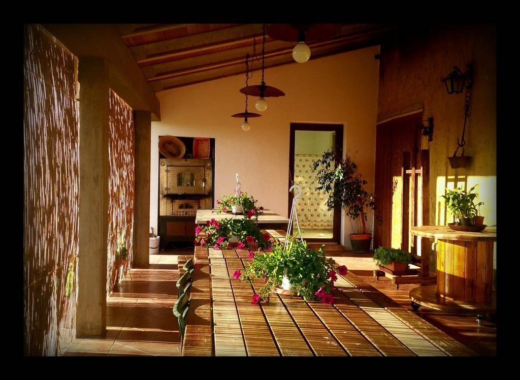 Agriturismo San Giusto Montiano  Eksteriør billede