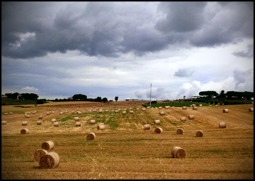 Agriturismo San Giusto Montiano  Eksteriør billede