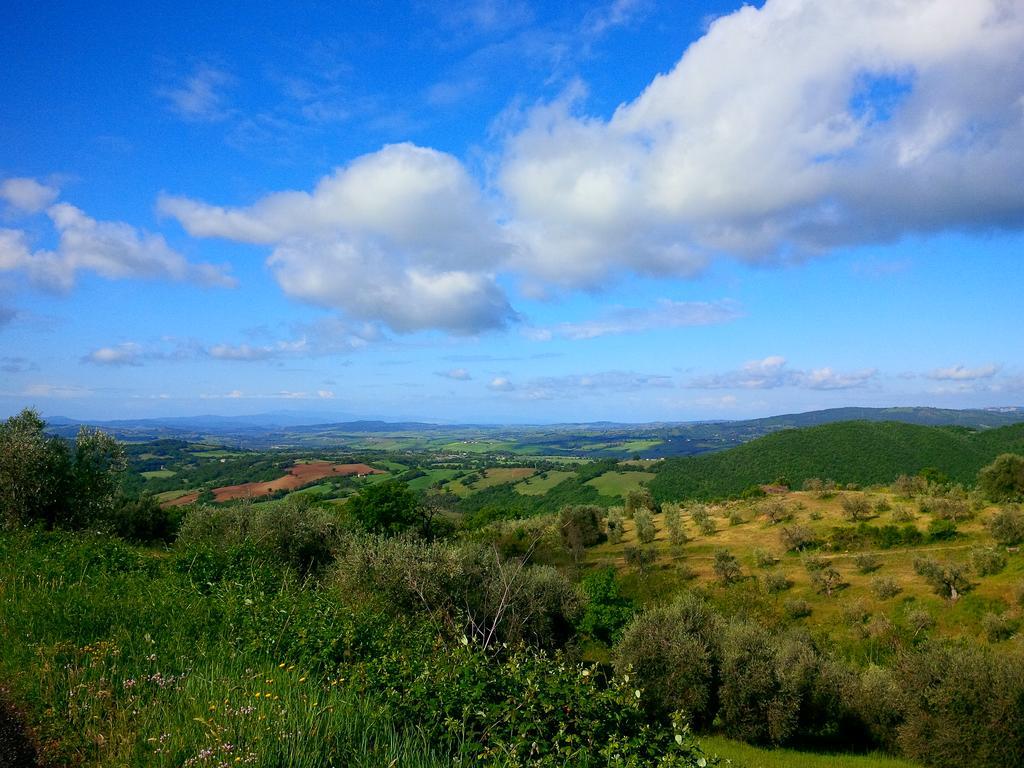 Agriturismo San Giusto Montiano  Eksteriør billede