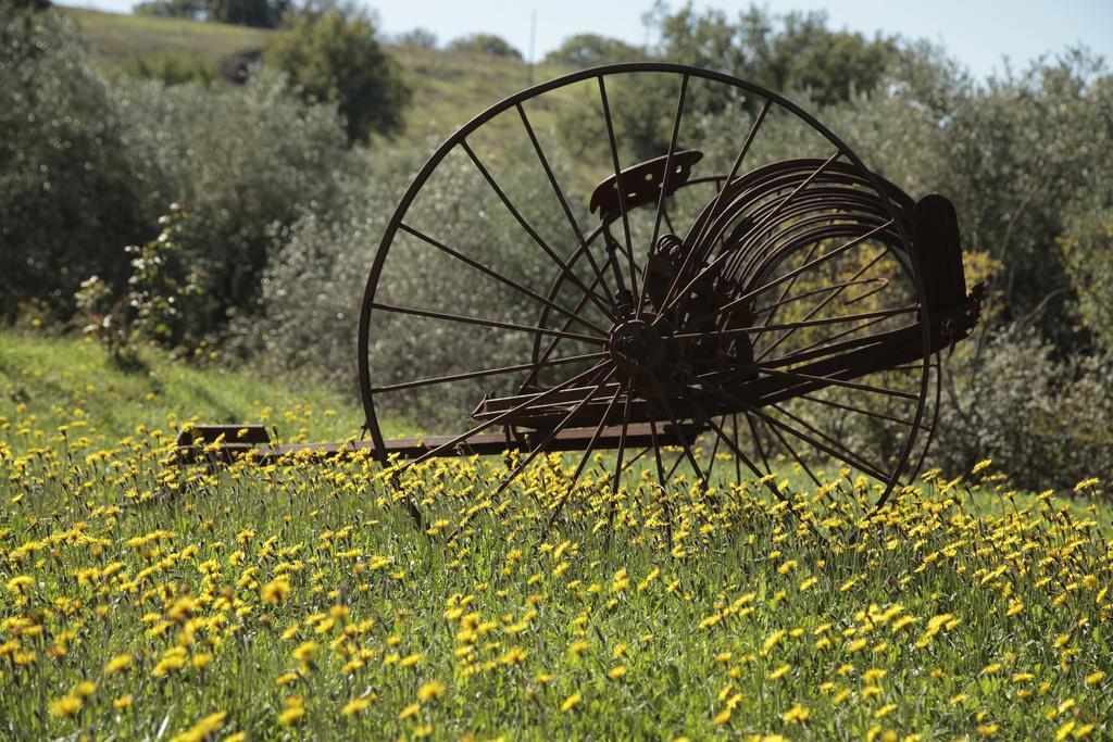 Agriturismo San Giusto Montiano  Eksteriør billede